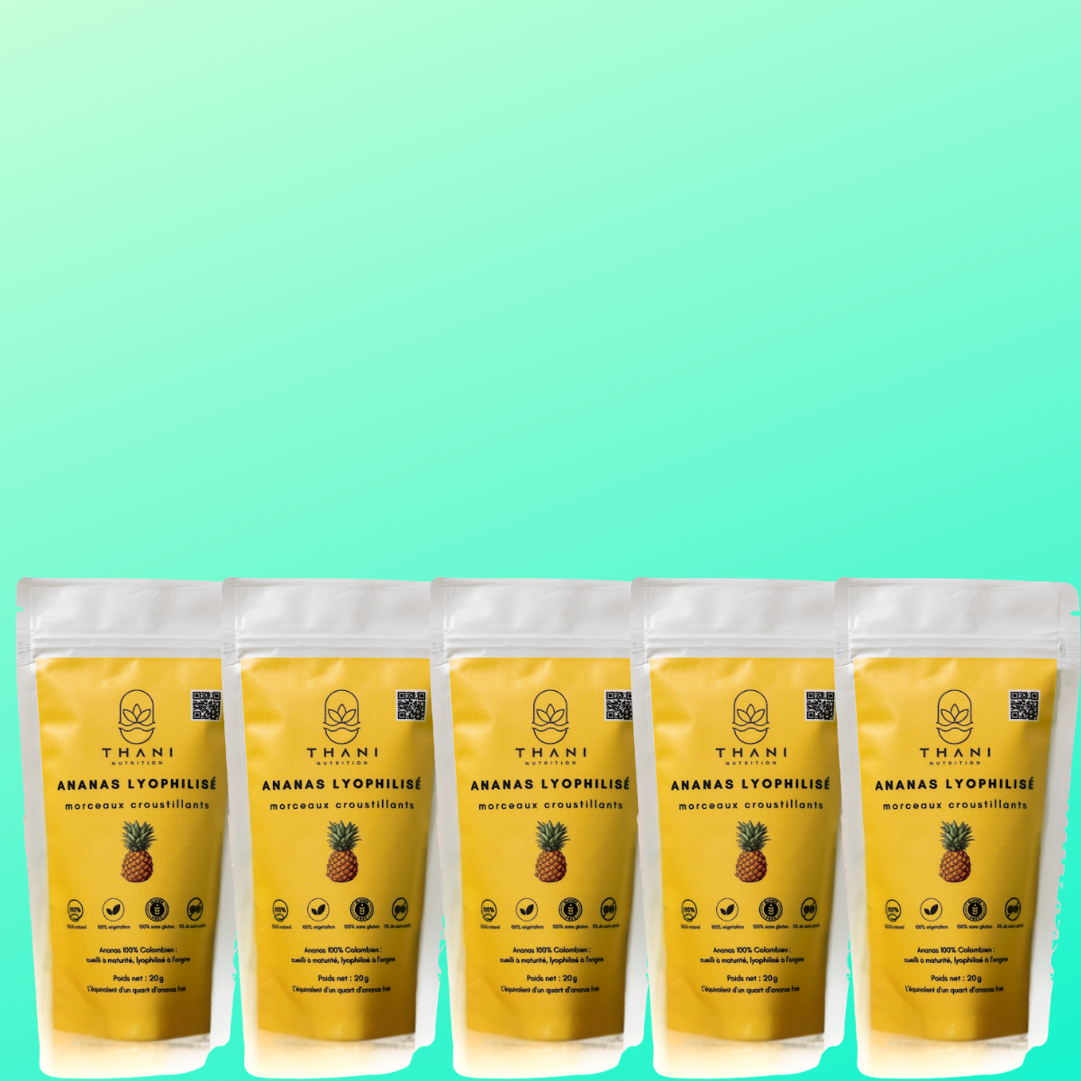 THANI - Ananas Lyophilisée en morceaux