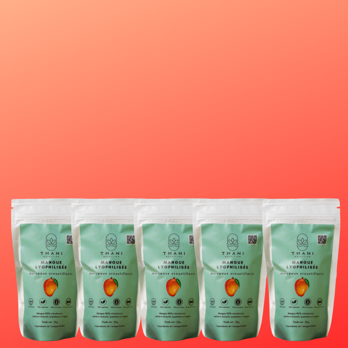 THANI - Mangue lyophilisée en morceaux