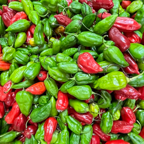 FEROZ - La Savoureuse, Sauce Douce