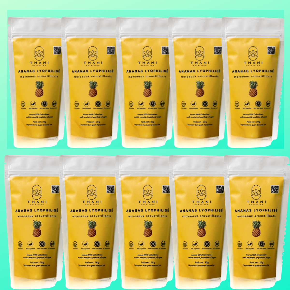 THANI - Ananas Lyophilisée en morceaux