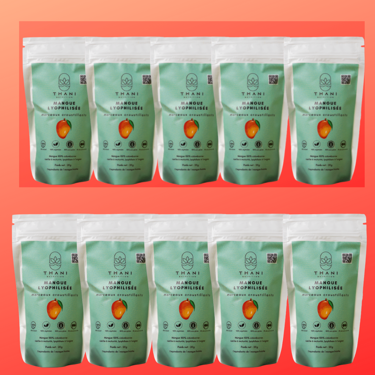 THANI - Mangue lyophilisée en morceaux