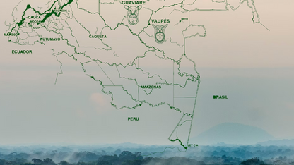 SELVA INMENSA - PIMENT AMAZONIEN