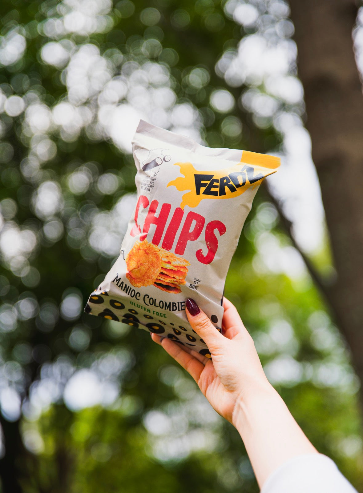 FEROZ - Chips (lot de 3)