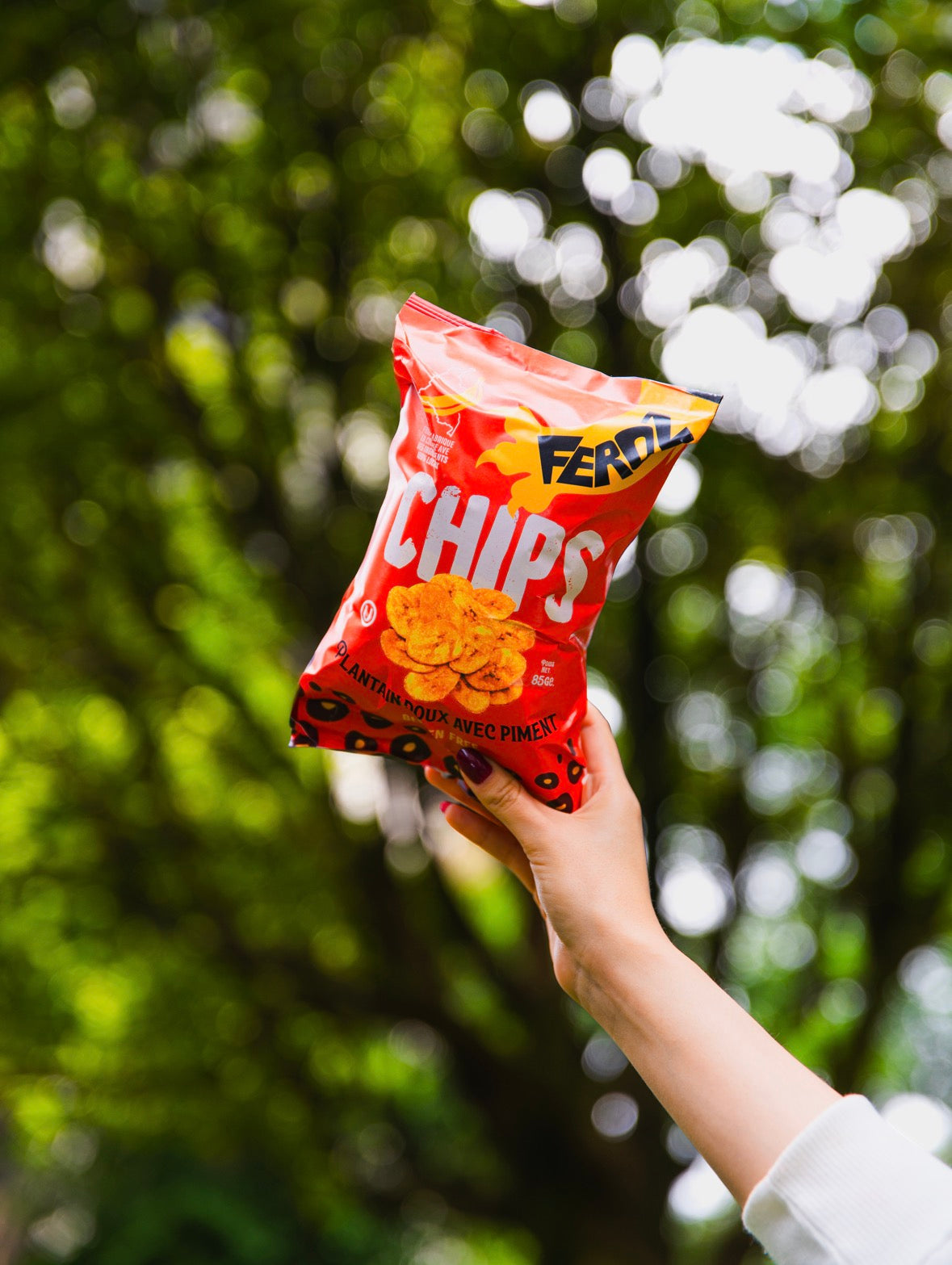 FEROZ - Chips (lot de 3)