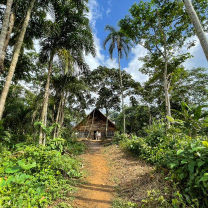 SELVA INMENSA - PIMENT AMAZONIEN