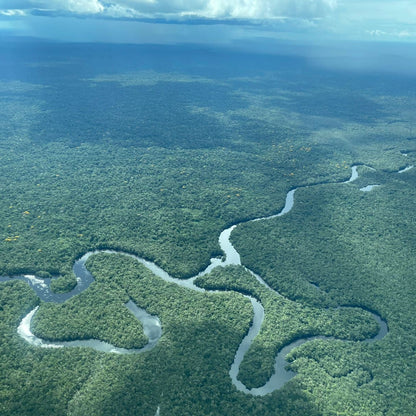 SELVA INMENSA - PIMENT AMAZONIEN