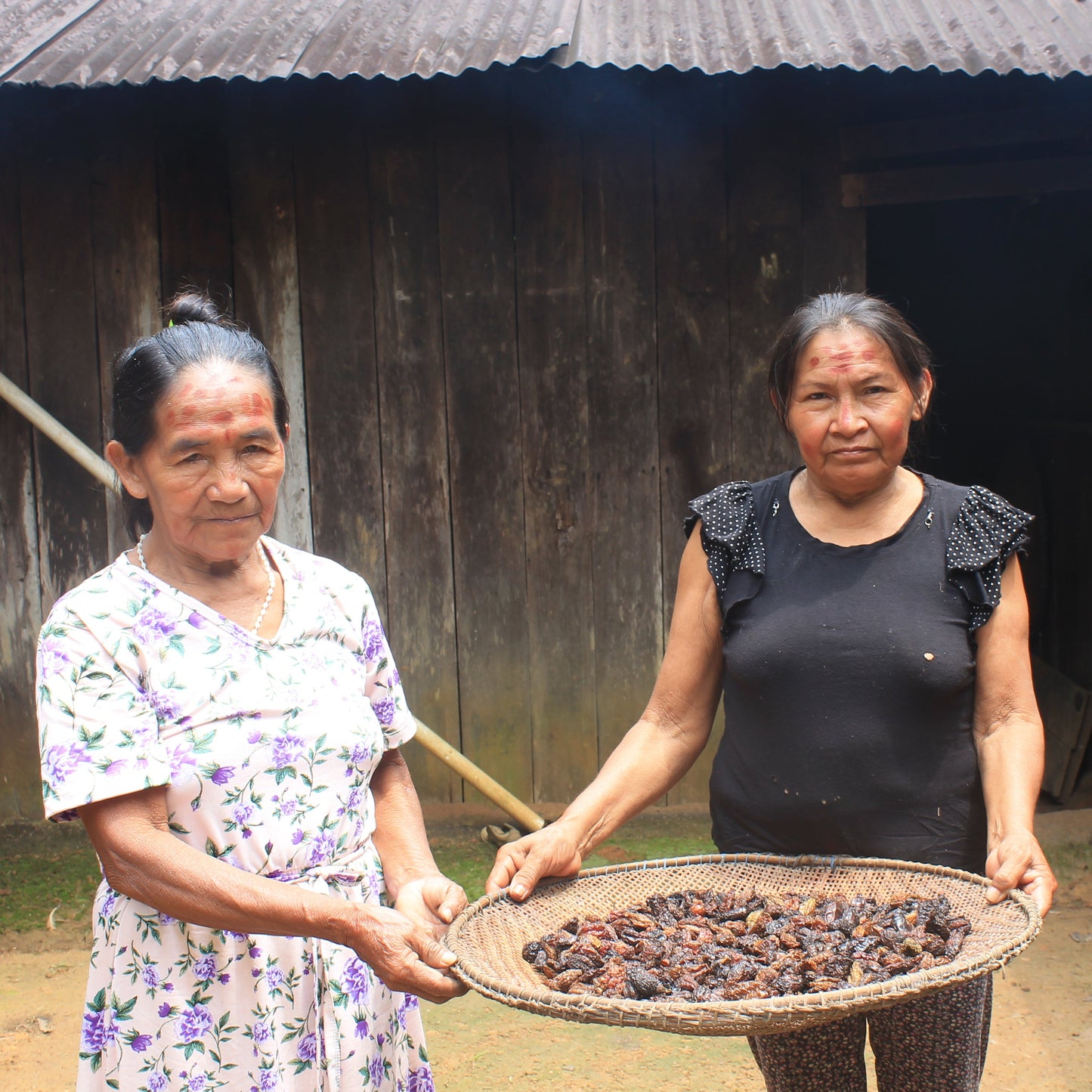 SELVA INMENSA - PIMENT AMAZONIEN