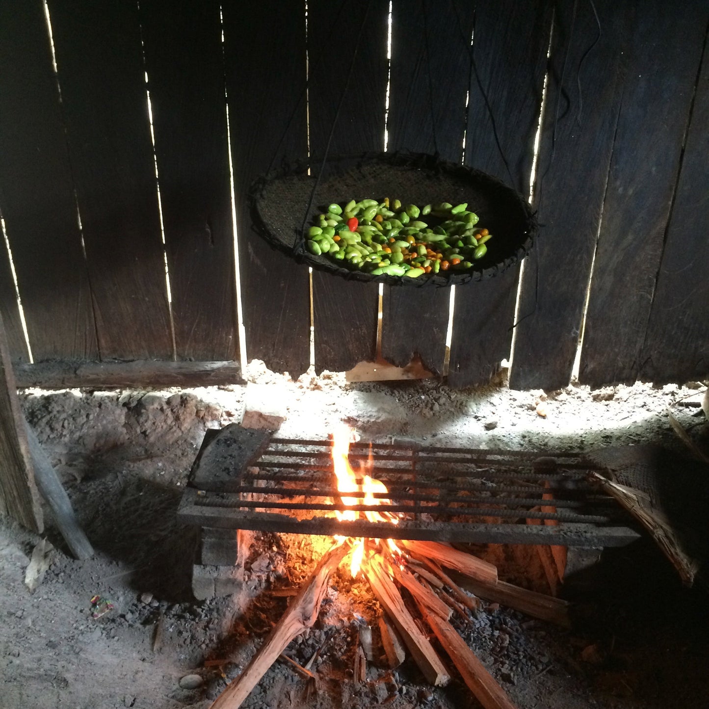 SELVA INMENSA - PIMENT AMAZONIEN