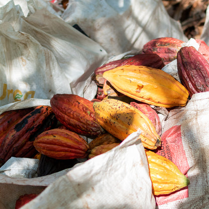 Tibitó CÓRDOBA - Tablette 90% cacao