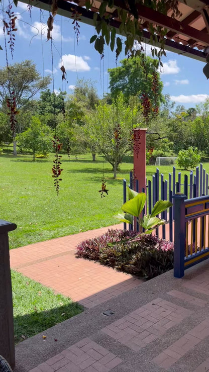 FRUTO DE CACAO Tablette Chocolat Blanc à l'Açaï